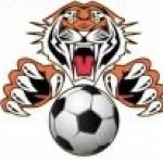 Oakhill Tigers Profile Picture