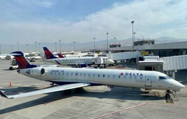 How to Get Delta Airlines Callback?