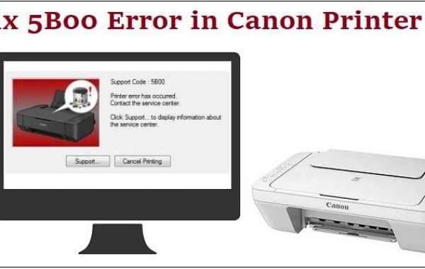Canon.com/ijsetup - FIX 5B00 ERROR IN CANON PRINTER