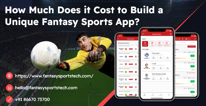 How Much Does it Cost to Build a Unique Fantasy Sports App?