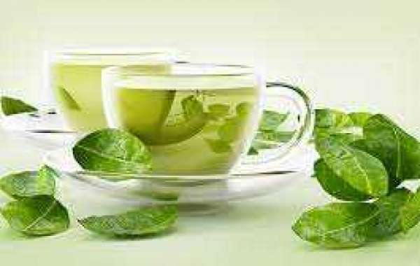 How Green Tea Can Help You to Lose Weight