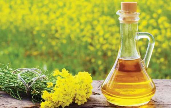 Canola Protein Market  Analysis, Emerging Trends, Forecast and COVID-19 Impact Analysis by 2027