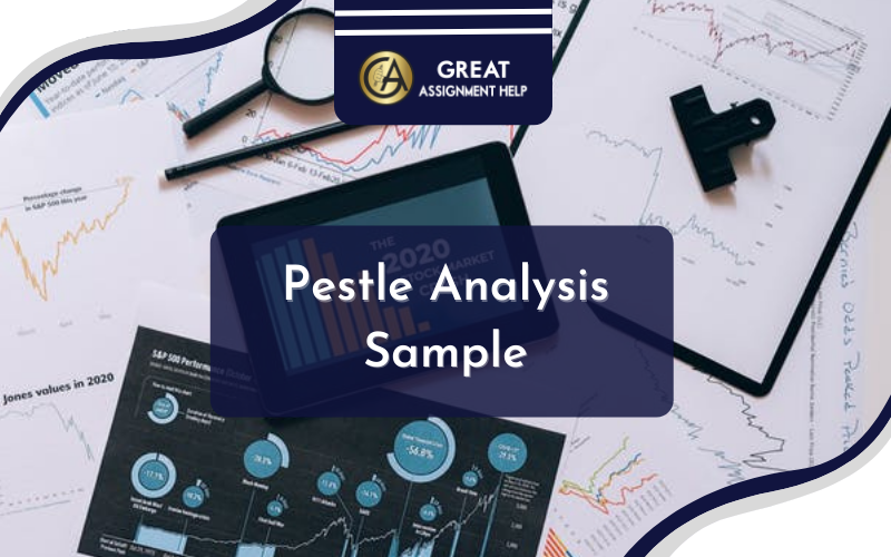 Basic concepts of a Pestle Analysis Sample