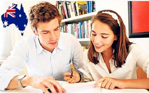 The online architecture assignment help companies can assist you through many ways