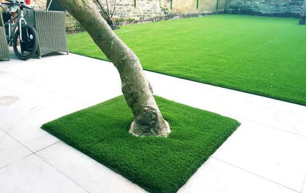 Good Ideas To Know Where To Buy Grass For Home And Business